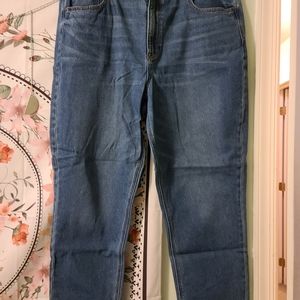 AE Mom Jeans